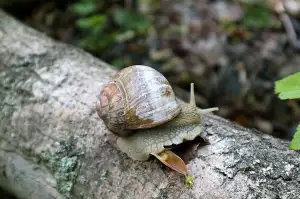 Zahradní Domek Stavební Povolení
