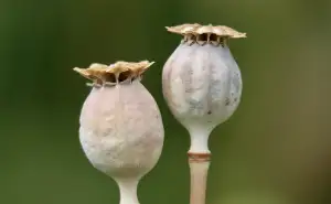 Těsnění Pod Dveře