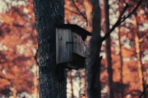 Zahradní Domek Interiér Obklad